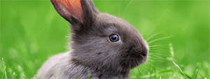 Notre blog