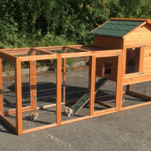 Grand clapier avec enclos