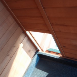 Ouverture du poulailler