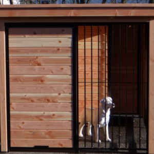 Le chenil pour chien en bois est équipée avec un toit Luxe