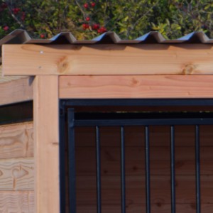 Chenil pour chien avec toit