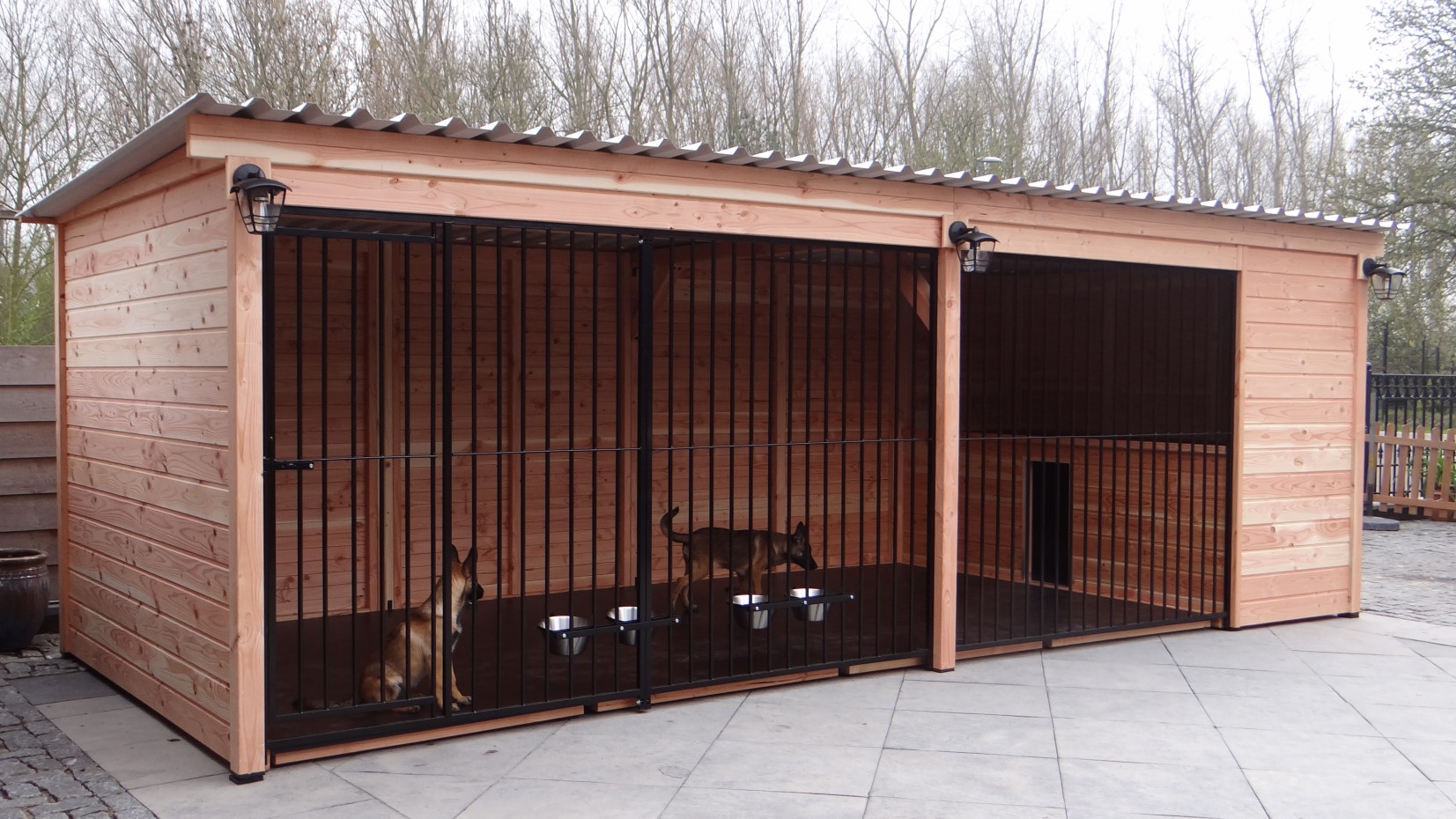 Mod le De Chenil Pour Chien Quel Chenil Pour Un Chien De Chasse YLJFQE