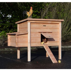 Poulailler pour mettre dans un enclos
