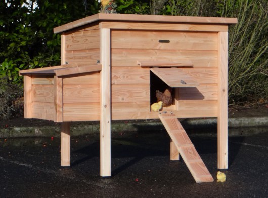 Poulailler avec pondoir