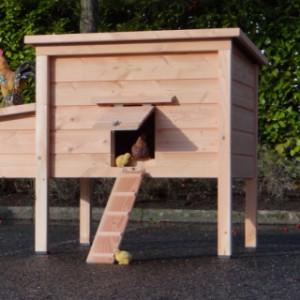 Poulailler avec rampe