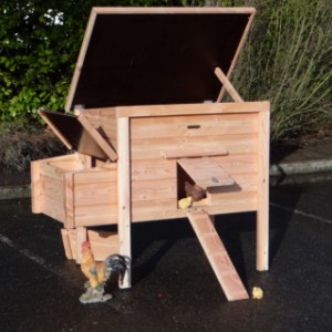 Poulailler, producé aux Pays-Bas