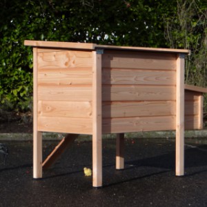 Poulailler solide de la meilleure qualité