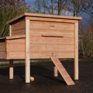 Poulailler en bois de Douglas