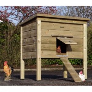 Poulailler en bois imprégné