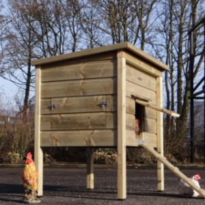 Poulailler des Pays-Bas