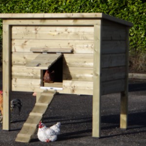 Poulailler avec une rampe