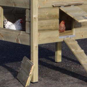 Portes du poulailler