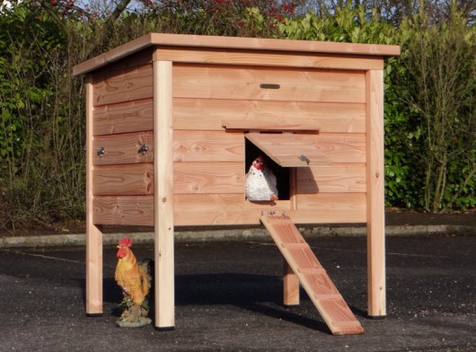 Poulailler Chicky 2 En bois de Douglas 116x84x125cm