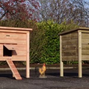 Poulailler en bois pour l'extérieur