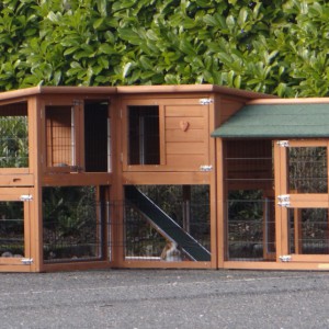 Ensemble d'isolation en plexiglass · pour clapier pour lapin Maurice avec 1 enclos