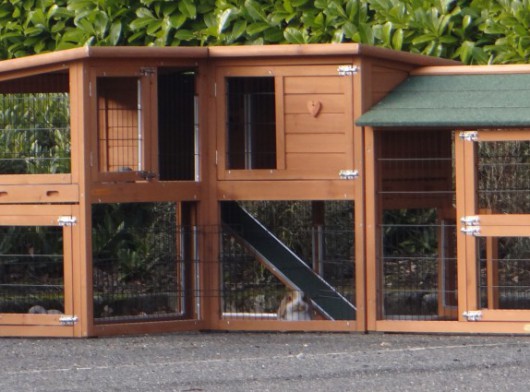 Ensemle d'isolation en plexiglass · pour clapier pour lapin Maurice avec 1 enclos