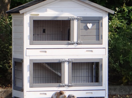 Ensemble d'isolation en plexiglass · pour clapier pour lapin Excellent Small