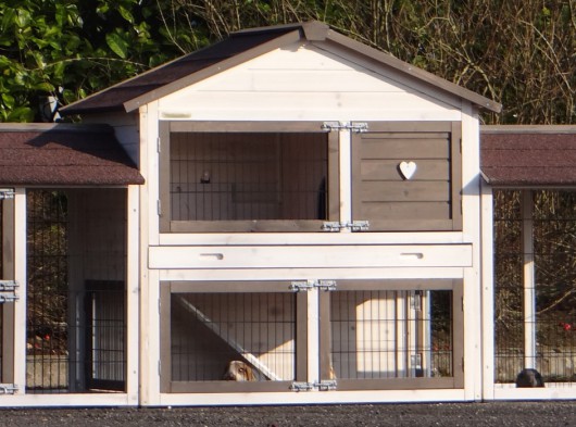 Ensemble d'isolation en plexiglass · pour clapier pour lapin Regular Medium avec 2 enclos