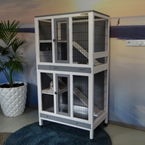 Cage pour l'intérieur Beau