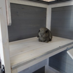 Cage à l'intérieur Beau