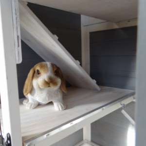 Cage à lapin en bois Beau