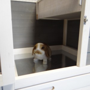 Clapier pour a la maison Esmee