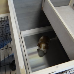 La nichoir du cage pour lapin Esmee offre d'espace pour 2 lapins