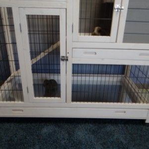 Le cage pour lapin Esmee est équipée avec 2 tiroirs