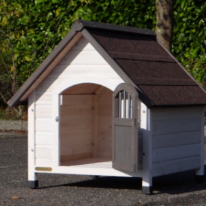 Une porte ouverte pour votre chien