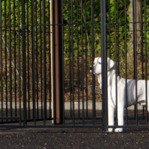 Le chenil pour chien consiste en 6 panneaux de barreaux noirs