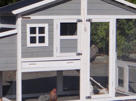 Ensemble d'isolation en plexiglass · pour clapier pour lapin Niels