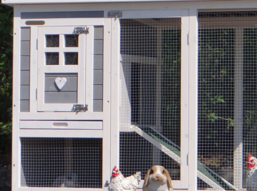 Ensemble d'isolation en plexiglass · pour clapier pour lapin Budget