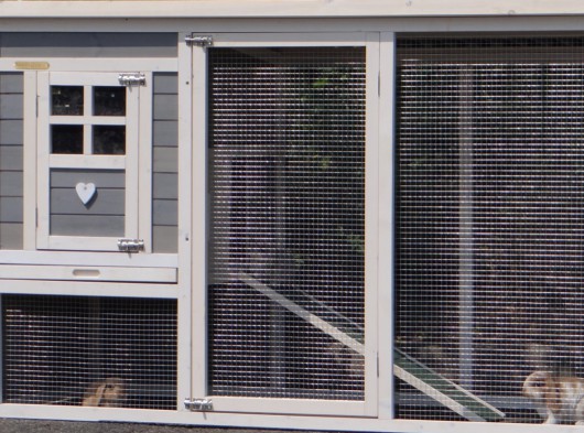 Ensemble d'isolation en plexiglass · pour clapier pour lapin Julia