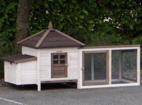 Petit poulailler avec enclos couvert et pondoir