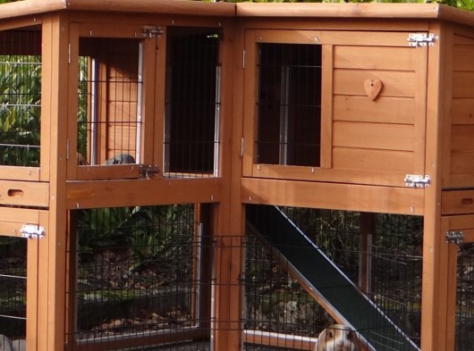 Ensemble d'isolation en plexiglass · pour clapier pour lapin Maurice