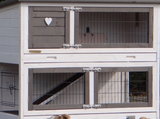 Ensemble d'isolation en plexiglass · pour clapier pour lapin Adrian