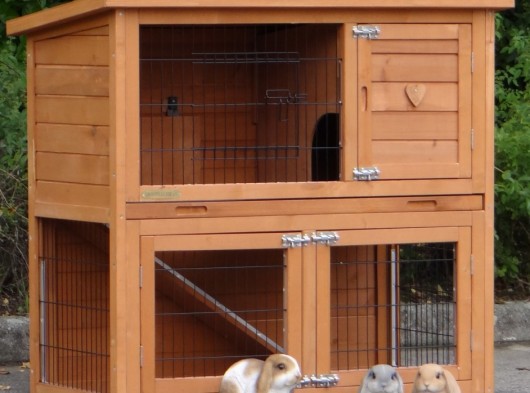 Ensemble d'isolation en plexiglass · pour clapier pour lapin Basic