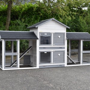 Clapier pour cochon d'inde Double Medium avec 2 enclos · 298x90x143cm
