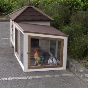 Chicken coop Ambiance Small avec enclos couvert