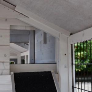 L'ouverture sur l'abri de nuit inférieur du clapier pour lapin Double Small