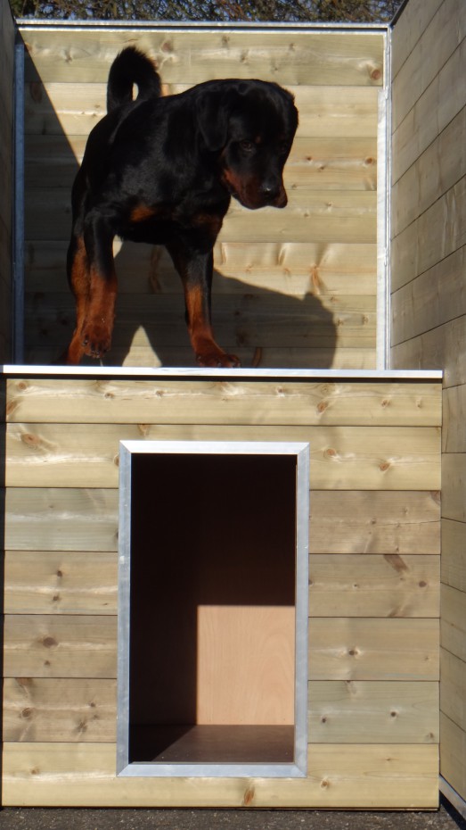 Chenil - niche et enclos pour chien mod. Modulaire 125 x 300 cm - avec toit