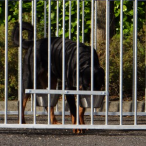 L’ensemble double de gamelles est livré avec le matériel de montage inclus