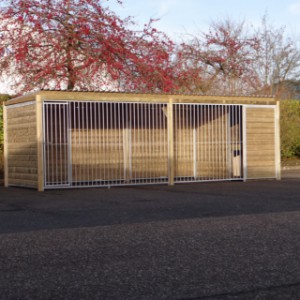 Niche pour chien Forz avec cadre 2x6 mètres et abri de nuit isolé avec plateforme