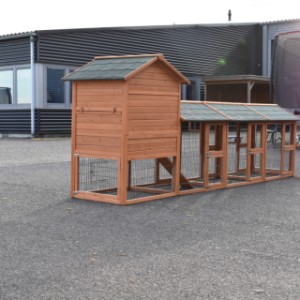 Un vu dans l'arrière du poulailler Prestige Medium