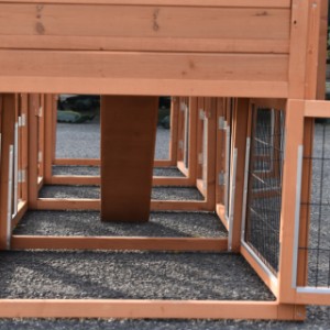 Un vu dans l'enclos du poulailler Prestige Medium