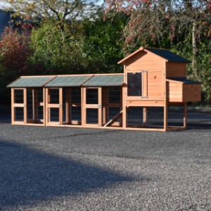 Clapier pour lapin Prestige Medium avec 3 enclos et pondoir · 423x91x150cm