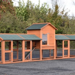 Clapier pour lapin Prestige Medium avec 4 enclos · 493x91x150cm