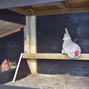 La nichoir offre beaucoup d'espace pour vos poules