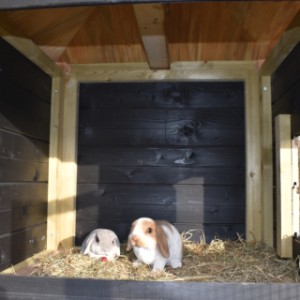 La nichoir du clapier pour lapin Rosy est approprié pour 2 à 4 lapins