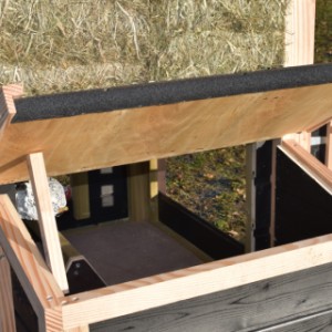 La pondoir a un toit articulé, ainsi que vous pouvez ramasser les oeufs facilement